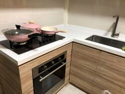 Blk 1 The Pinnacle@Duxton (Bukit Merah), HDB 4 Rooms #550655451